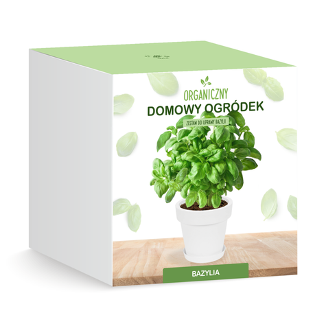 Zestaw do uprawy Bazylii Bazylia na parapet Domowy ogródek BIO