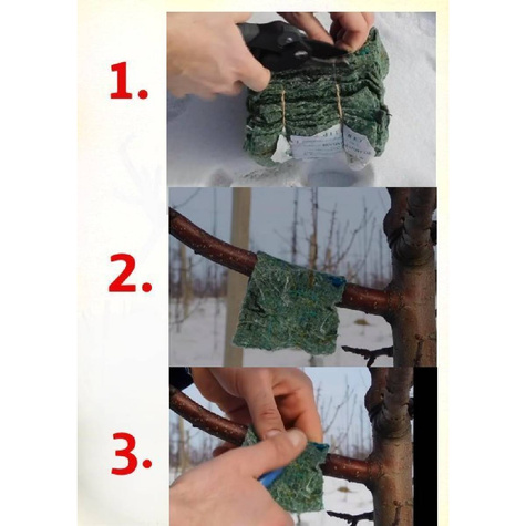 Dobroczynek Gruszowy 25 Opasek