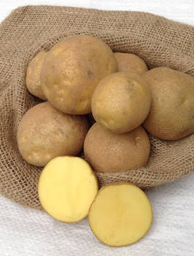 Ziemniaki Michalina 1kg