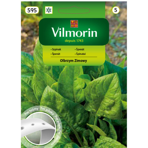 Nasiona na taśmie Szpinak Olbrzym zimowy 7m