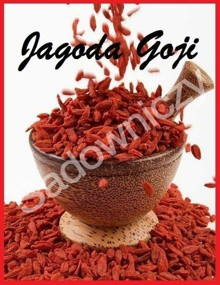 Zestaw Zdrowy DUET do ogrodu Jagody Życia