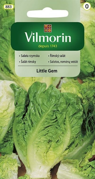 Sałata rzymska Little Gem wczesna 0,5g