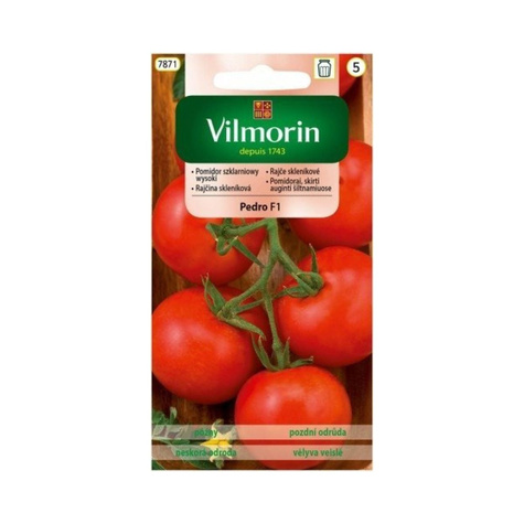 Pomidor szklarniowy Pedro Mieszaniec F1 0,1g