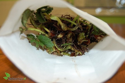 Zestaw Truskawka Biała Ananasowa FRIGO 10szt.