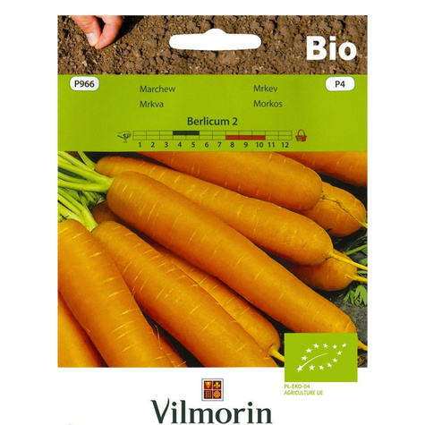 Marchew Berlicum 2 BIO nasiona ekologiczne 5g