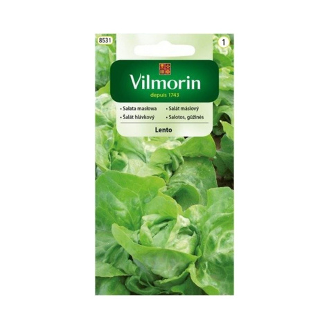Sałata masłowa Lento całoroczna 0,5g