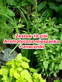 Zestaw Nasiona Ziół Aromatyczne Przyprawy 10 Opakowań Znaczniki
