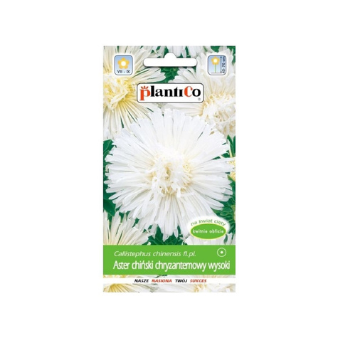 Aster chiński chryzantemowy wysoki biały 1g