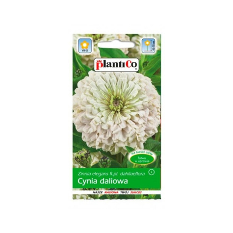 Cynia wytworna daliowa biała 1g