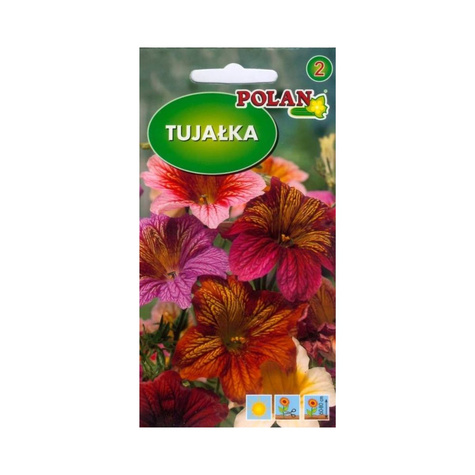 Tujałka Bolero mix kolorów 1g Polan