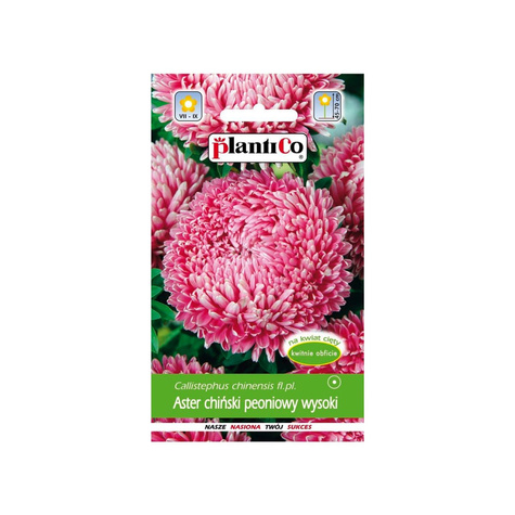 Aster chiński peoniowy wysoki ciemno-różowy 1 g