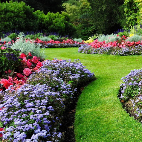 Biohumus Extra SOS do ratowania roślin 1L+20% gratis