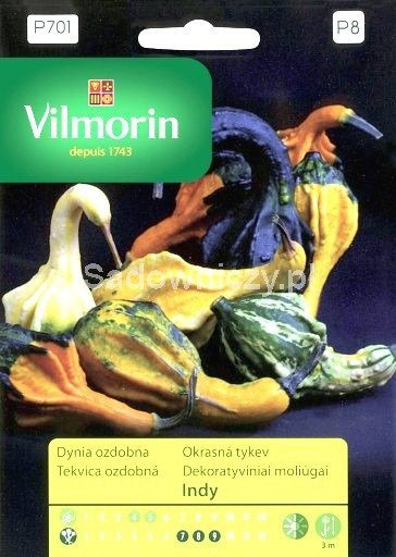 Dynia ozdobna Tykwa Indy 1g