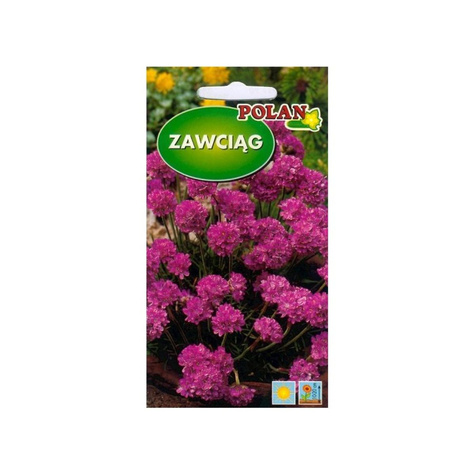 Zawciąg nadmorski 0,1g