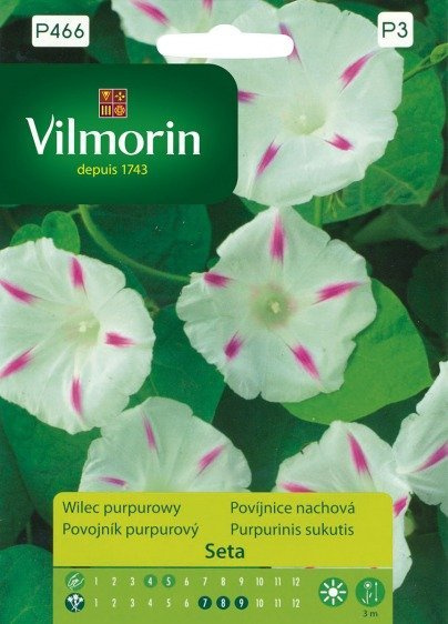 Wilec purpurowy Seta 0,5g