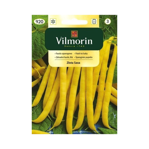 Fasola szparagowa żółta karłowa bezłykowa Złota Saxa 30g