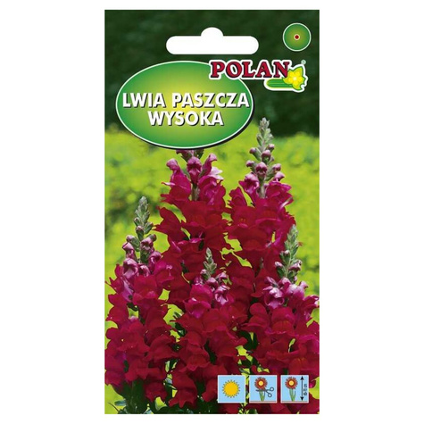 Lwia paszcza wysoka Jan ciemno-karminowa Wyżlin 0,5g