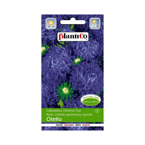 Aster chiński peoniowy wysoki Otello niebieski 1g