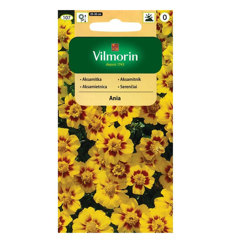 Aksamitka rozpierzchła pojedyncza Ania 1g