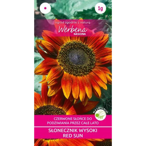 Słonecznik wysoki Red Sun 1g