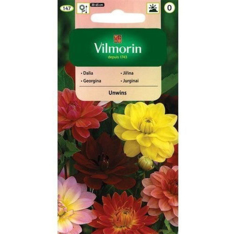 Dalia zmienna karłowa pełna i półpełna Unwins mix 1g