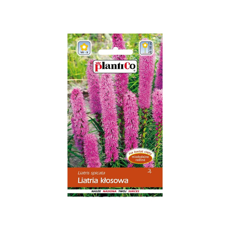 Liatra kłosowa różowa 0.5g