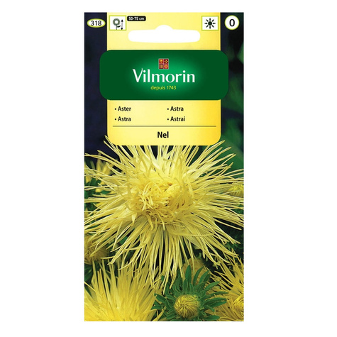 Aster chiński igiełkowy Nel 0,5g