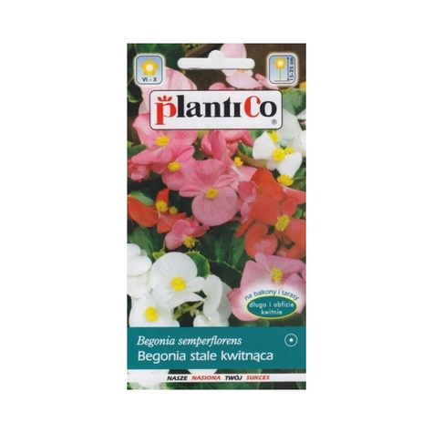 Begonia stale kwitnąca zielonolistna mix 0,1g Plantico