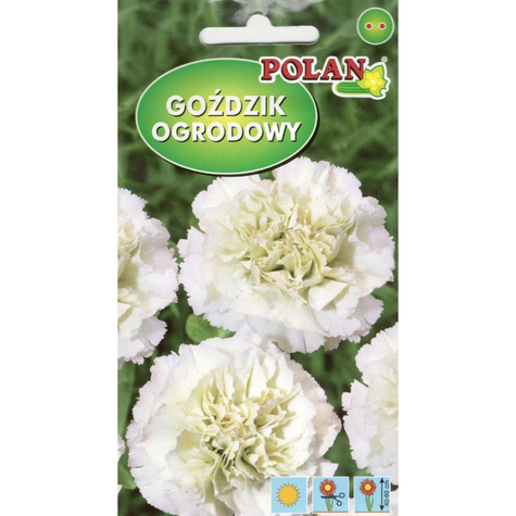 Goździk ogrodowy Grenadin biały 0,5g