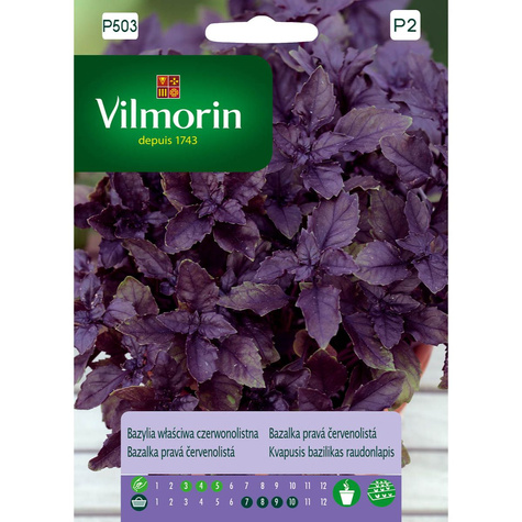 Bazylia purpurowa Purpurowolistna 0,5g