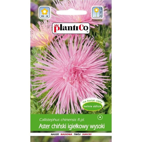 Aster chiński igiełkowy wysoki różowy 1g