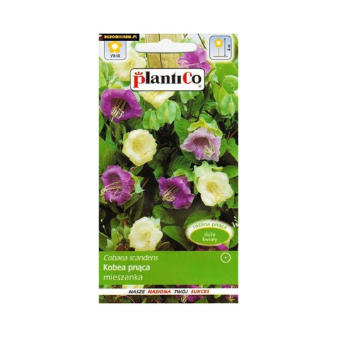 Kobea pnąca mieszanka 0,5g