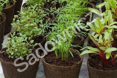 Doniczka torfowa okrągła 7x8cm