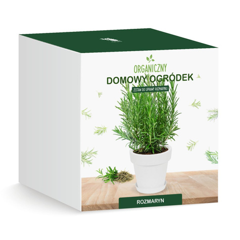 Zestaw do uprawy Rozmarynu
