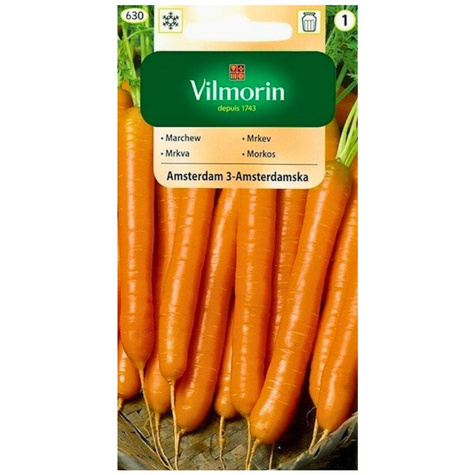 Marchew jadalna Amsterdam 3 Amsterdamska wczesna 5g