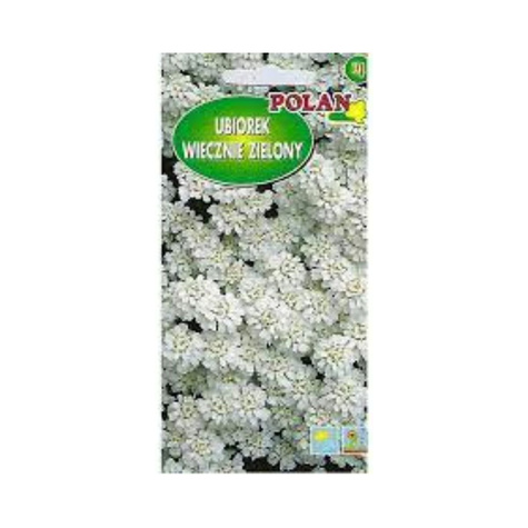 Ubiorek hiacyntowy biały 2g Polan