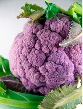 Kalafior średniopóźny Di Sicilia Violetto 0,2g