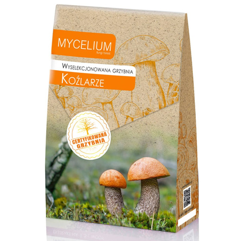 Grzybnia Koźlarz Osak Kozak Mix odmian 120ml