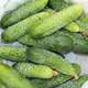Ogórek Śremski Gruntowy - Nasiona 2g