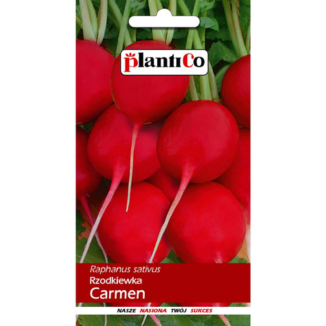 Rzodkiewka Carmen popularna duża 10g
