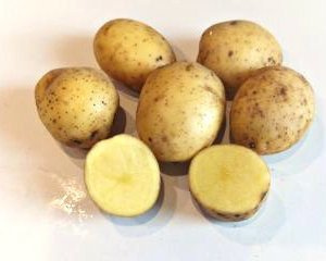 Ziemniak Tajfun 1kg