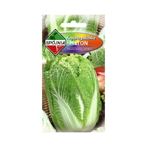 Kapusta pekińska Hilton wczesna 1g