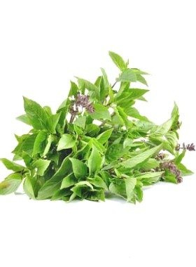 Bazylia Blue Spice o aromacie wanilii 1g