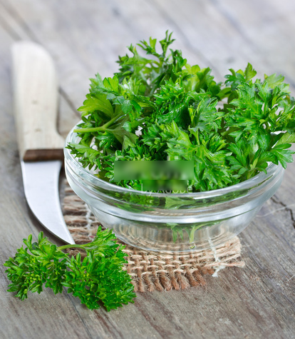 Pietruszka naciowa Gigante di Nap (C2)