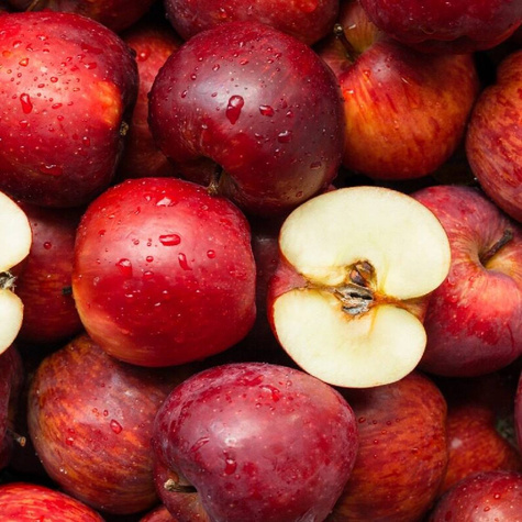 Jabłoń Najdared w doniczce C2