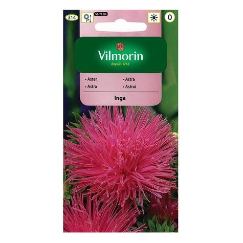 Aster chiński igiełkowy Inga purpurowo-różowy 0,5g
