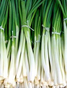 ZESTAW ALLEGRO Cebula SIEDMIOLATKA BAJKAL 3g