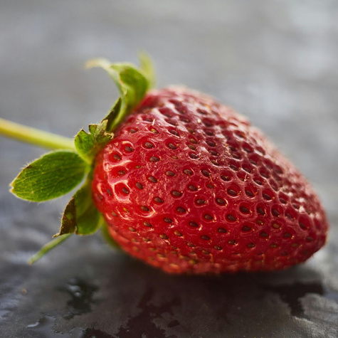 HURT Truskawki Monterey powtarzająca FRIGO 600szt