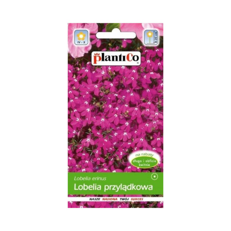 Lobelia przylądkowa Stroiczka różowa 0,2 g Plantico