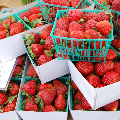 Truskawka Albion pnąca wisząca powtarzająca FRIGO